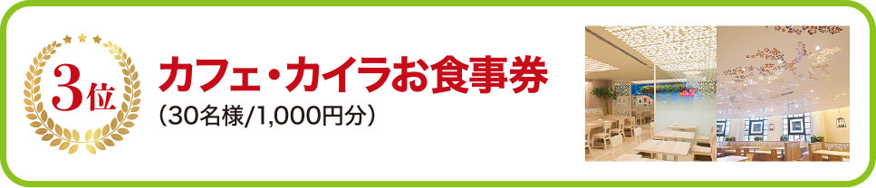 3位 カフェ・カイラお食事券