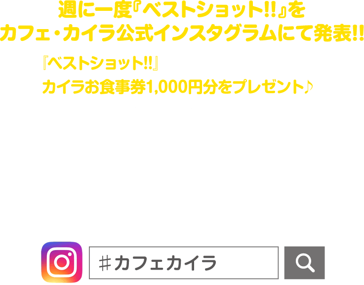 週に一度『ベストショット!!』をカフェ・カイラ公式インスタグラムにて発表!!